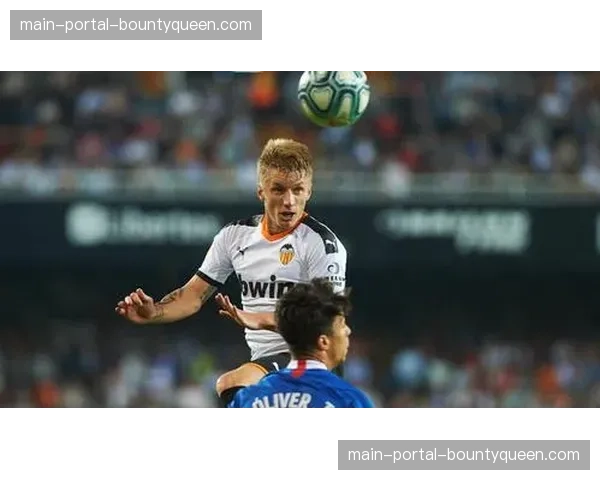 为满足欧足联要求，里尔主场将启动照明系统与座椅更新工程